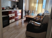 Saray