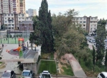 Aşıq Ələsgər küçəsi