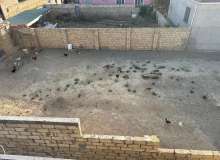 Satılır Saray