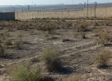 Ağaxan Abdullayev küçəsi