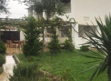 Turkan qes