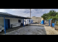 Yaşma bağları