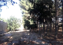 Şüvəlan
