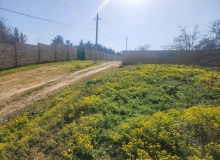 Masazır qəsəbəsi, Polad Həşimov küçəsi