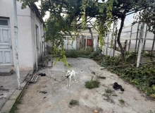 Maştağa
