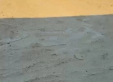Saray qəsəbəsi, Ruhulla Axundov küçəsi