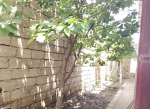 Suraxanı. Bahar qəs.