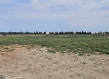 Məhəmmədli qəsəbəsi