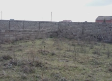 Buzovna