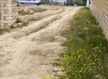 Novxanı qəsəbəs