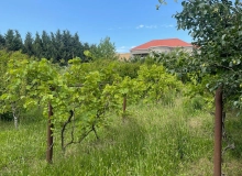 Məhəmməd Əsədov küçəsi