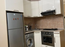 E. Qaryagdioglu kücsi