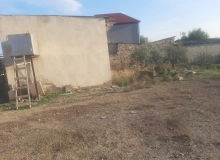 Məmməd Araz küçəsi Məmməd Araz küçəsi