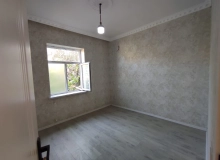 Saray