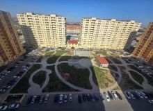 Saray
