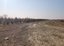 Atbulaq kəndi, Ələt magistral yolu