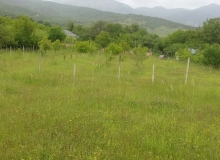 Sumqayıt