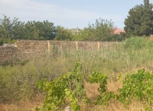 Novxanı, Qurd dərəsi bağları