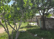 Bilgəh yolu