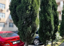 Bakıxanov qəsəbəsi