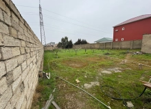 Şağan