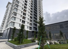 Şərifzadə küçəsi