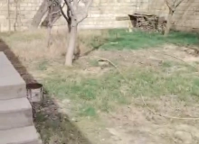 Masazır qəsəbəsi