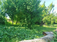 İsmayıllı rayonu, Ziya Bünyadov küç