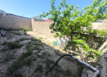 Buzovna