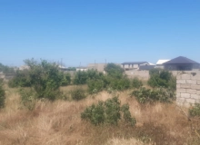 Qala qəsəbəsi