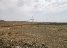 Saray qəsəbəsi, Zərifə Əliyeva küçəsi
