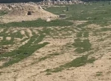 Suraxanı rayonu, Hövsan südçülük sovxozu ərazisi