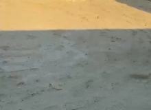Saray qəsəbəsi, Ruhulla Axundov küçəsi