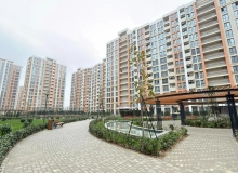 Yasamal rayonu.,  Asan xidmətin arxası