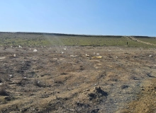 Masazır qəsəbəsi, Ağaxan Abdullayev küçəsi