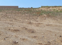 Zimistan Qurbanov küçəsi