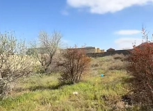 Novxanı