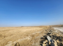 Novxanı qəsəbəsi, Əliağa Şıxliniski küçəsi