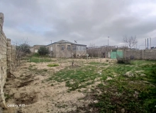 Azerbaycan qadini kucesi