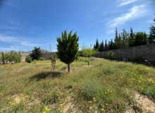 Maştağa qəsəbəsi, Ləhiç bağları