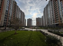 Müstəqillik küçəsi