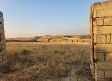 Novxanı Bağlar massifi, Məhəmməd Əsədov küçəsi