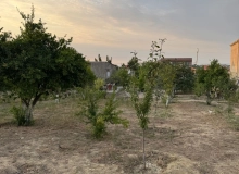 Saray qəsəbəsi