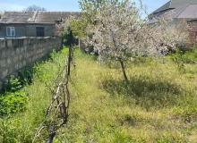 Saray qəsəbəsi, M.Ələkbərov küçəsi