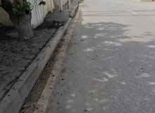 Şağan