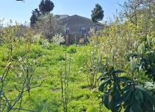 Saray qəsəbəsi, Molla Pənah Vaqif küçəsi