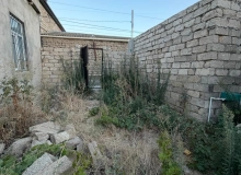Buzovna