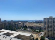 Yeni Günəşli D massivi