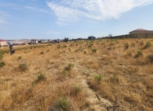 Şəmşir Abbasov küçəsi