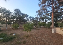 Şüvəlan qəsəbi